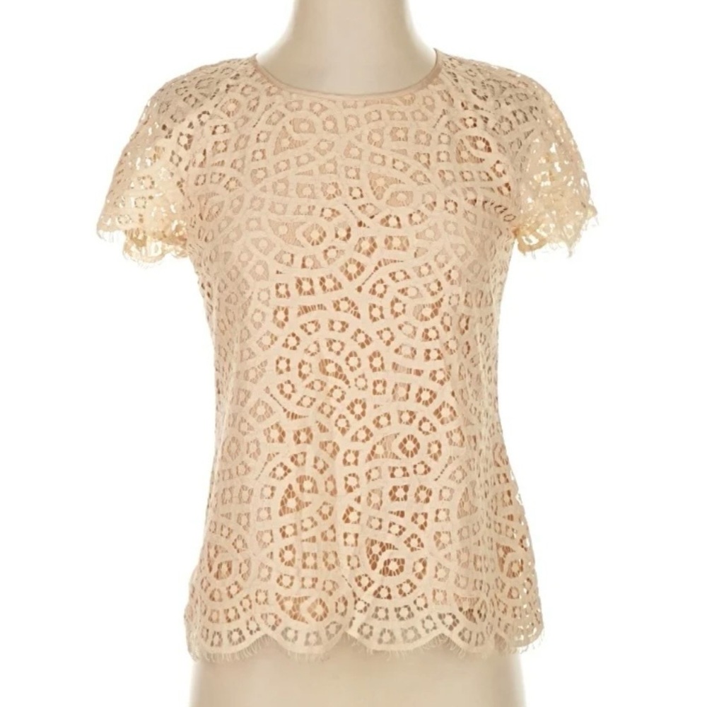 J. CREW | Lace Overlay Short Sleeve Blouse Eyelash‎ Edge Beige Nude Top | 12